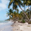 Aluguel de temporada em Porto de Galinhas Pernambuco