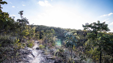 imagem capa Parque Estadual da Serra de Caldas Novas