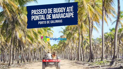 imagem capa Passear de buggy em Porto de Galinhas
