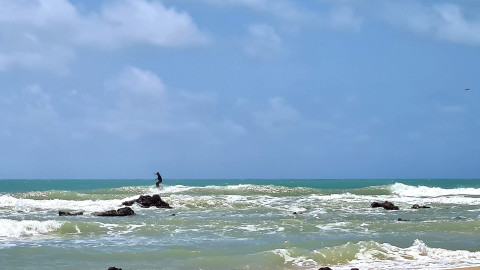Baia dos Golfinhos - Praia de Pipa