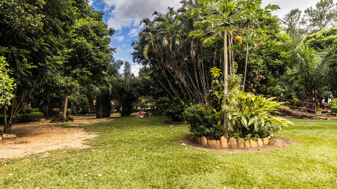 Jardim Japonês em Caldas Novas