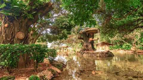 Jardim Japonês em Caldas Novas