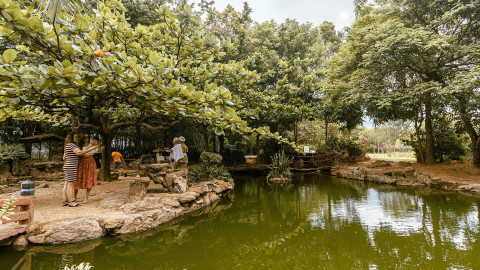 Jardim Japonês em Caldas Novas