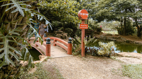 Jardim Japonês em Caldas Novas