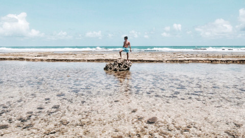 Piscinas naturais em Porto de Galinhas
