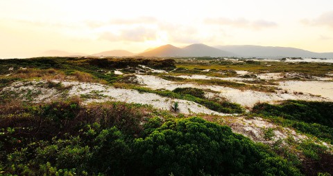 Praia da Joaquina