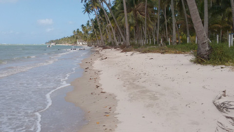 Praia dos Carneiros em Porto de Galinhas