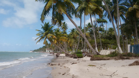 Praia dos Carneiros em Porto de Galinhas