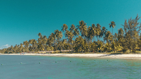 Praia dos Carneiros em Porto de Galinhas
