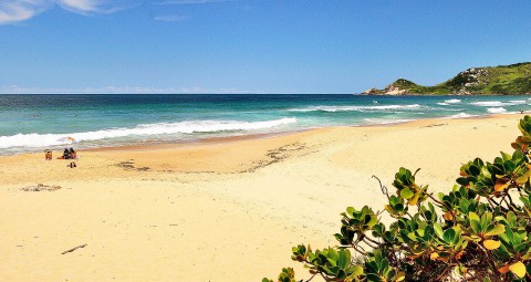 Praia Mole